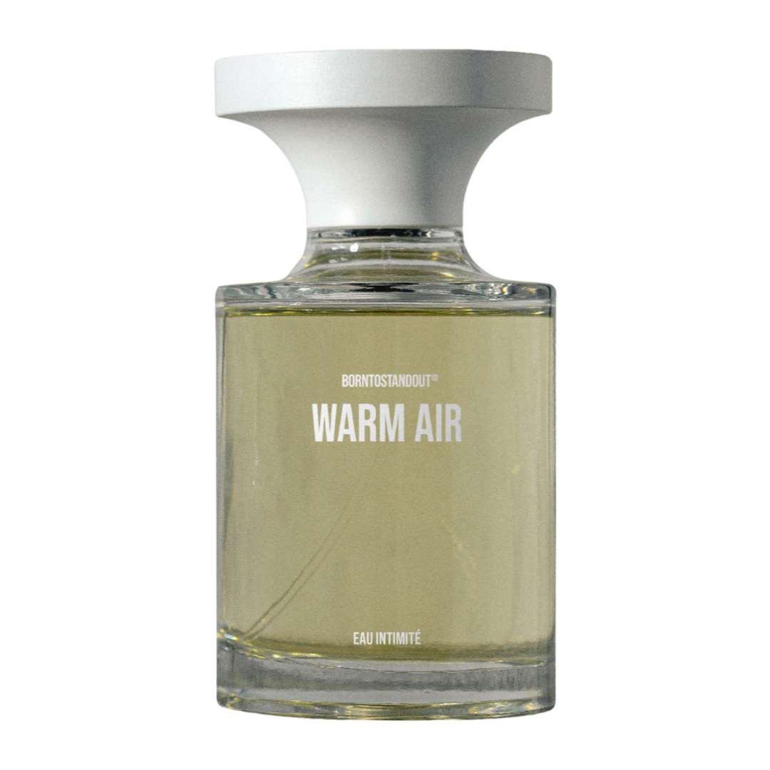 BORNTOSTANDOUT (BTSO) Туалетная вода WARM AIR 100 мл