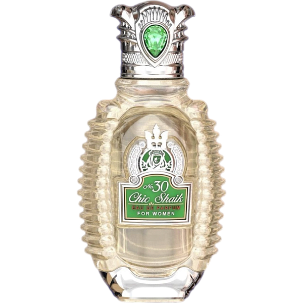 DESIGNER SHAIK Chic Shaik № 30